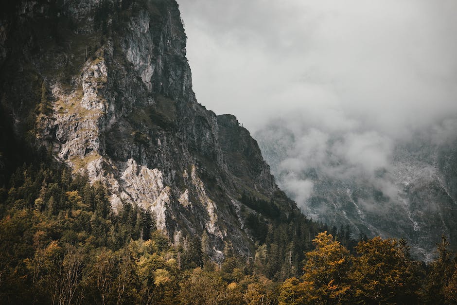  Anzahl der Kühe in Deutschland