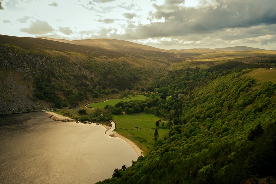 Zahl der Kühe in Irland